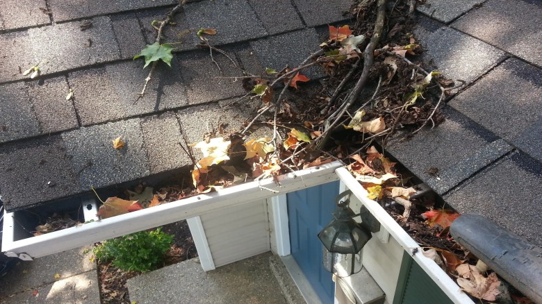 Gutter Cleaning